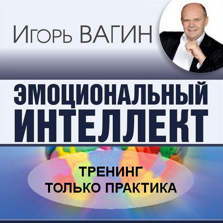 Эмоциональный интеллект - Вагин (2016)_0.jpg